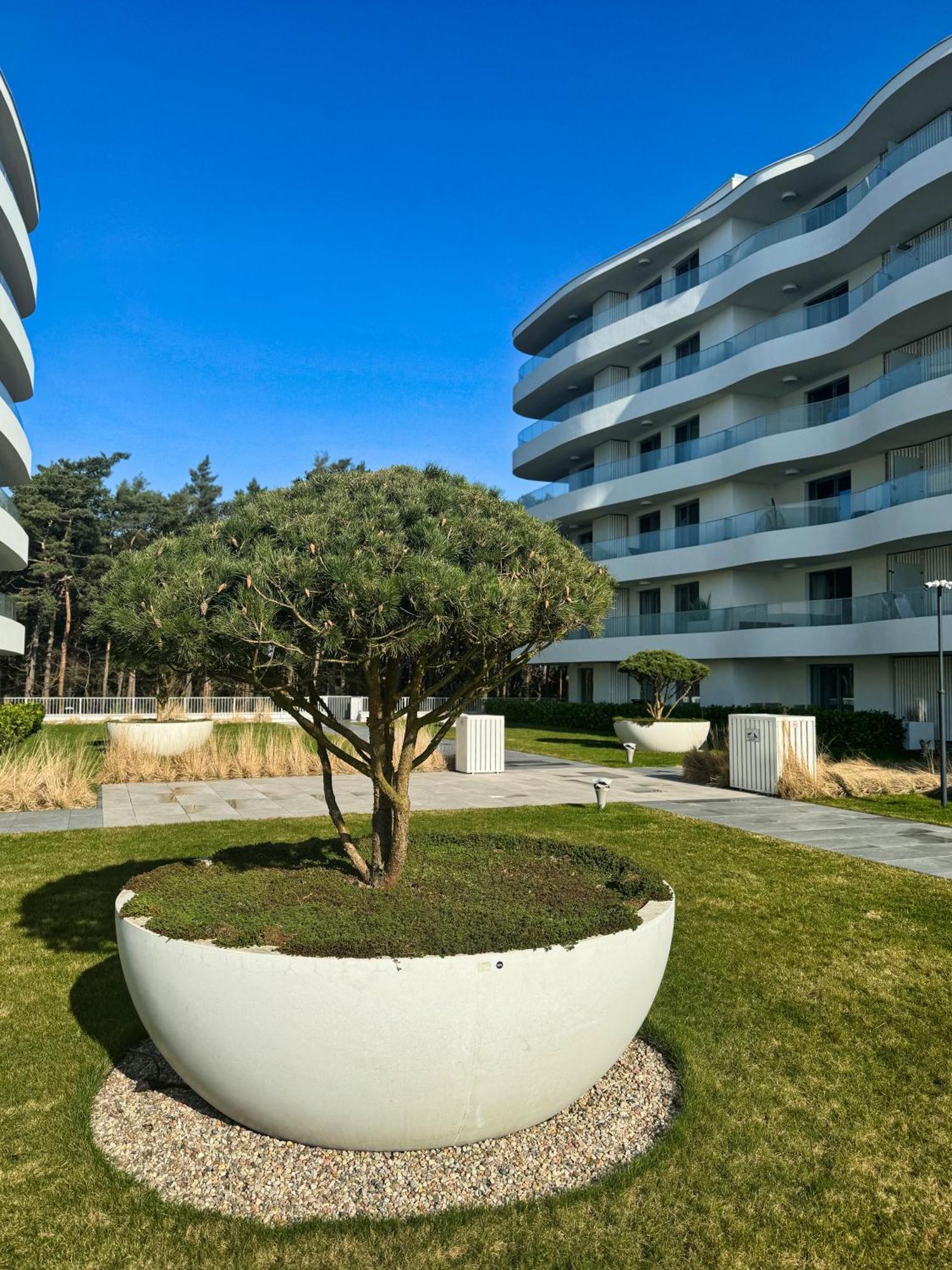 Rogowo Pearl Apartamenty Ngoại thất bức ảnh